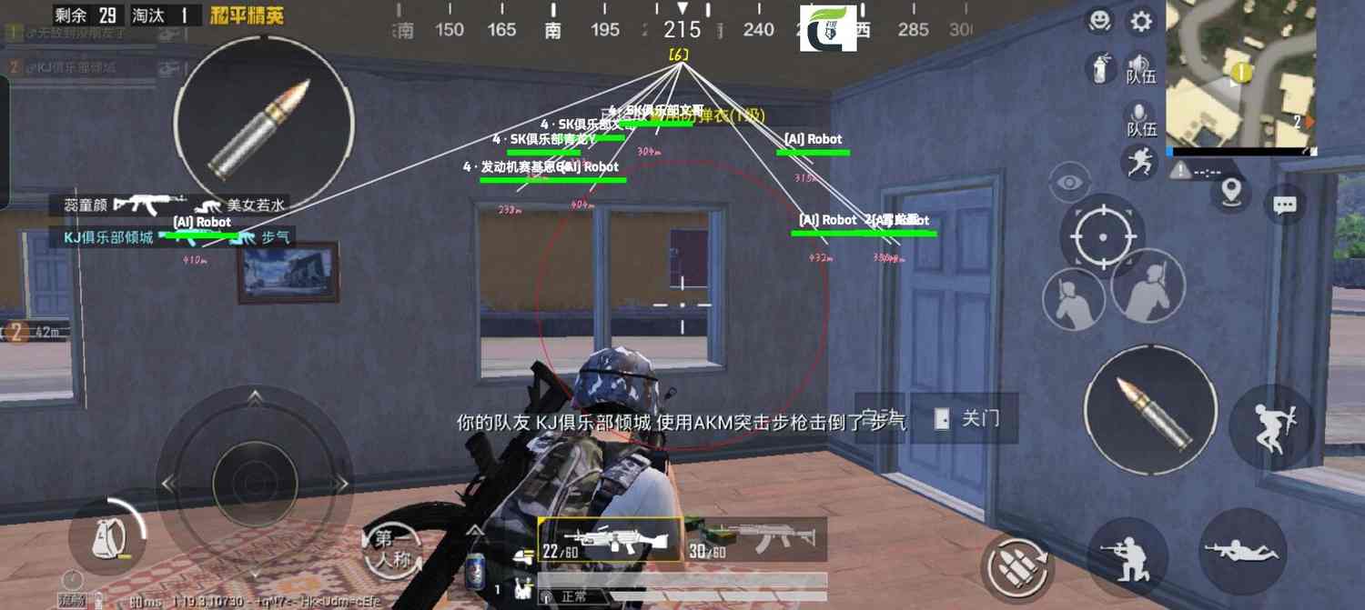 手机和平精英辅助透视